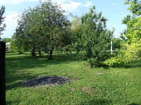 sour cherry, apple ...